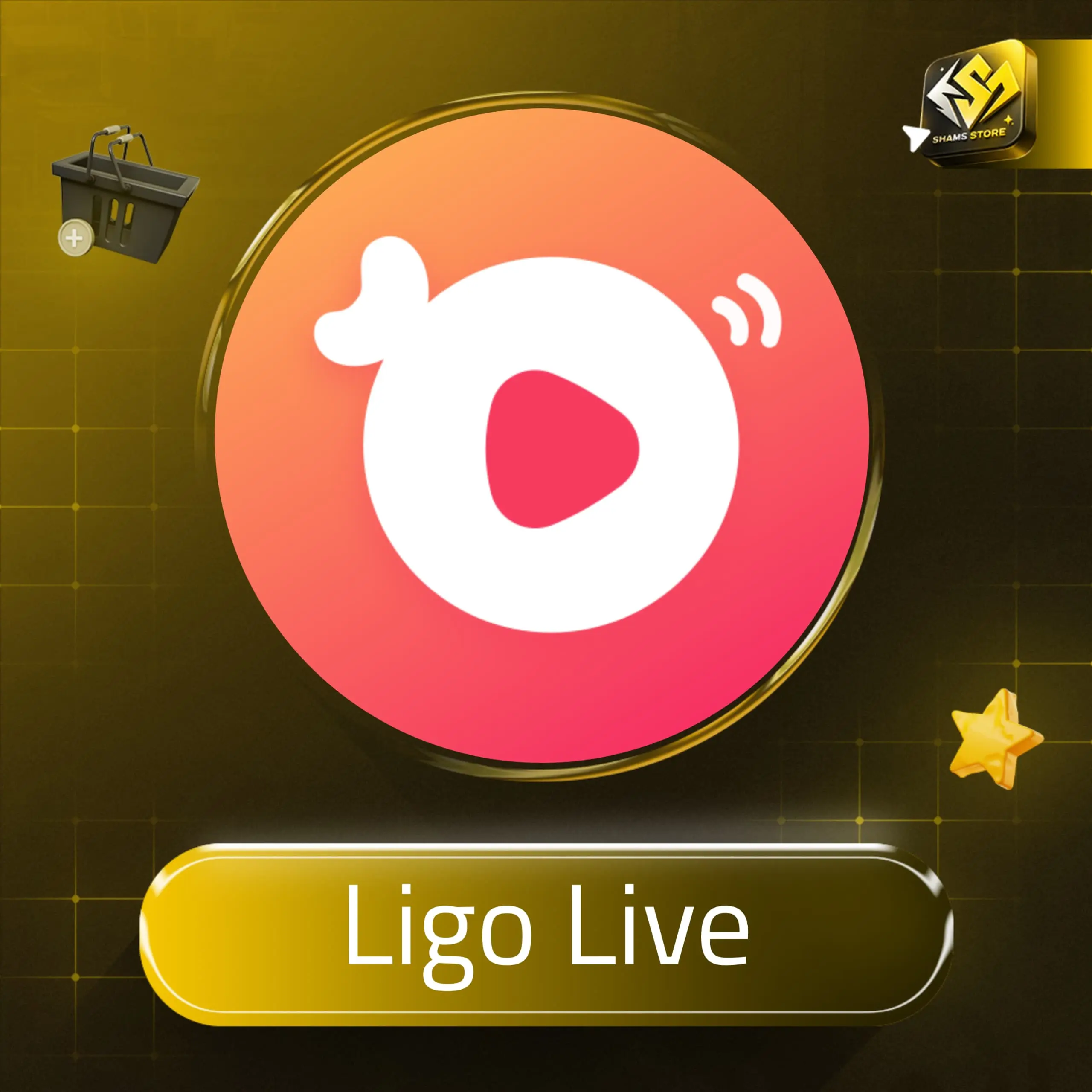 Ligo Live سيرفر 2