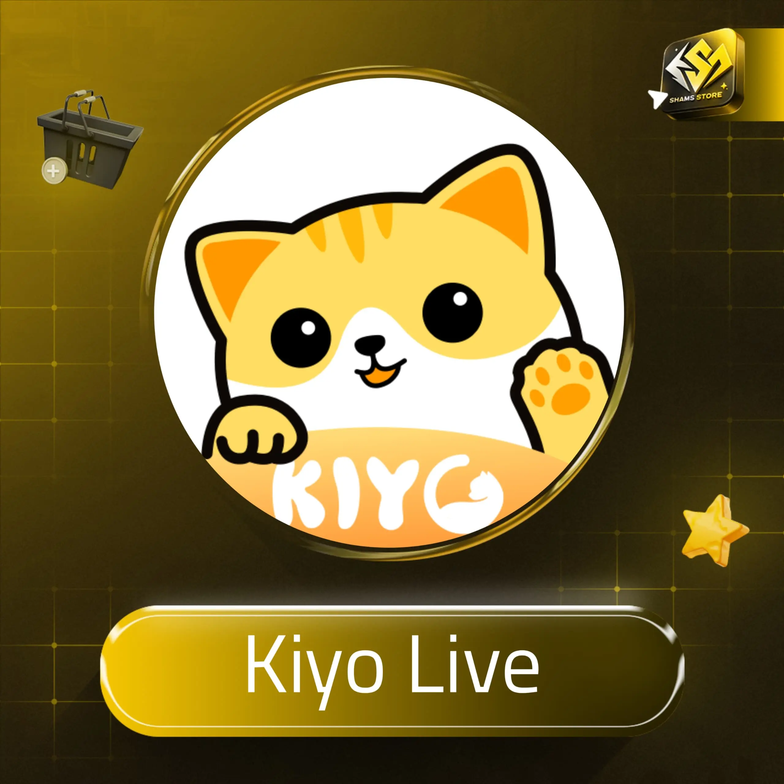 Kiyo Live سيرفر 2