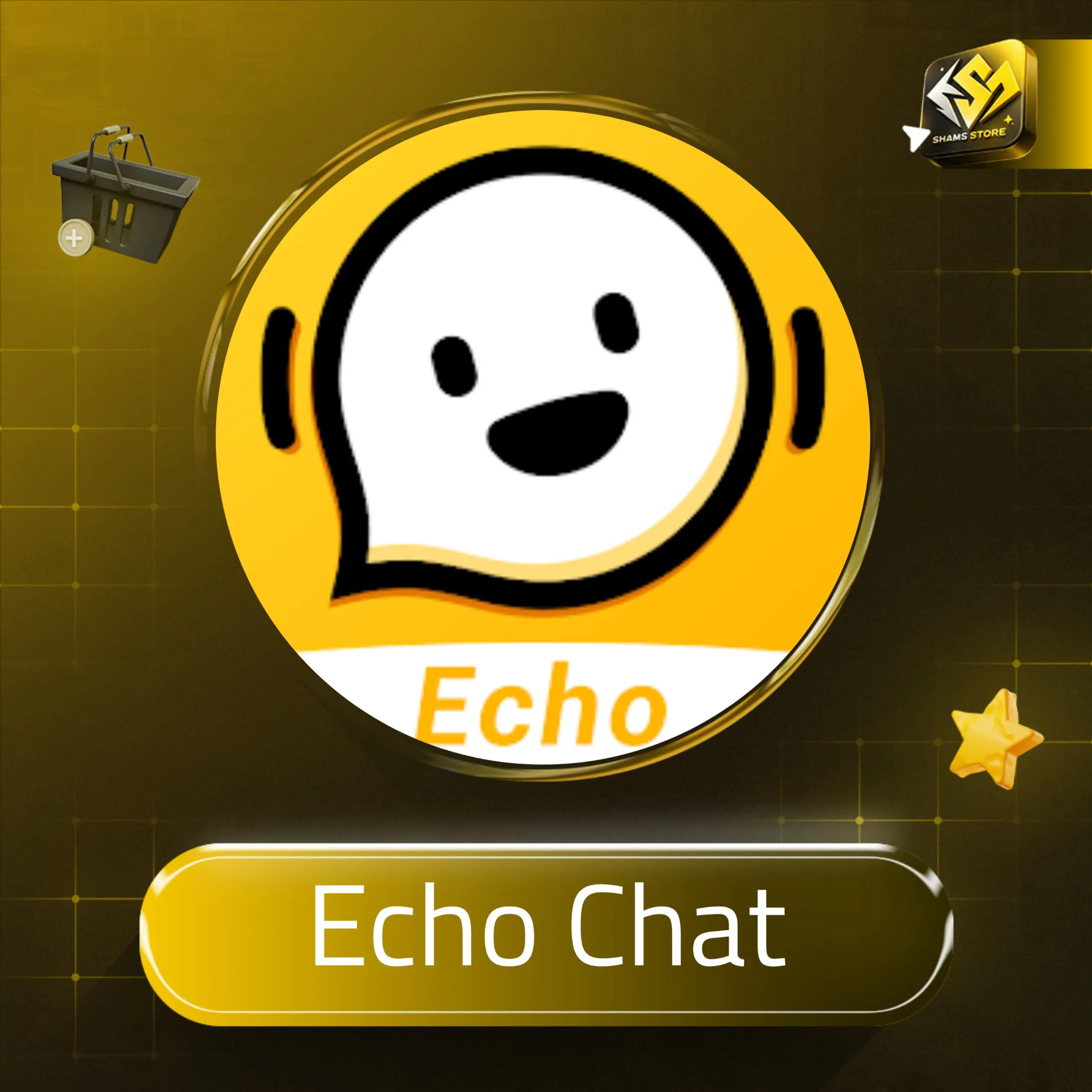 Echo Chat سيرفر 1