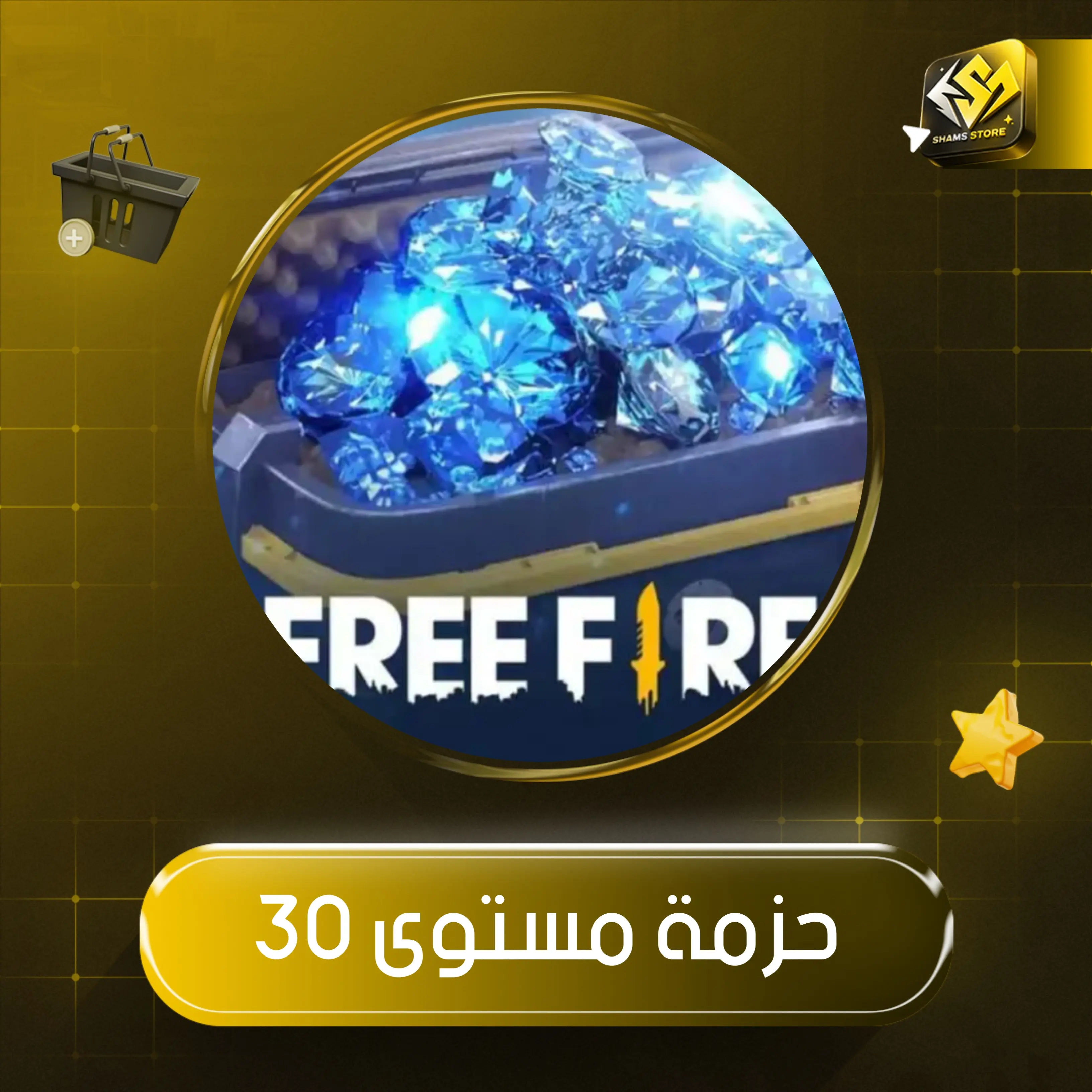 حزمة المستوى 30