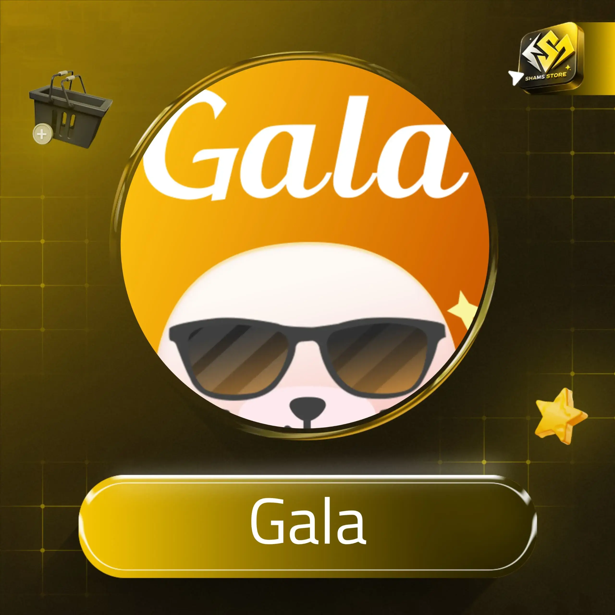 Gala سيرفر 1