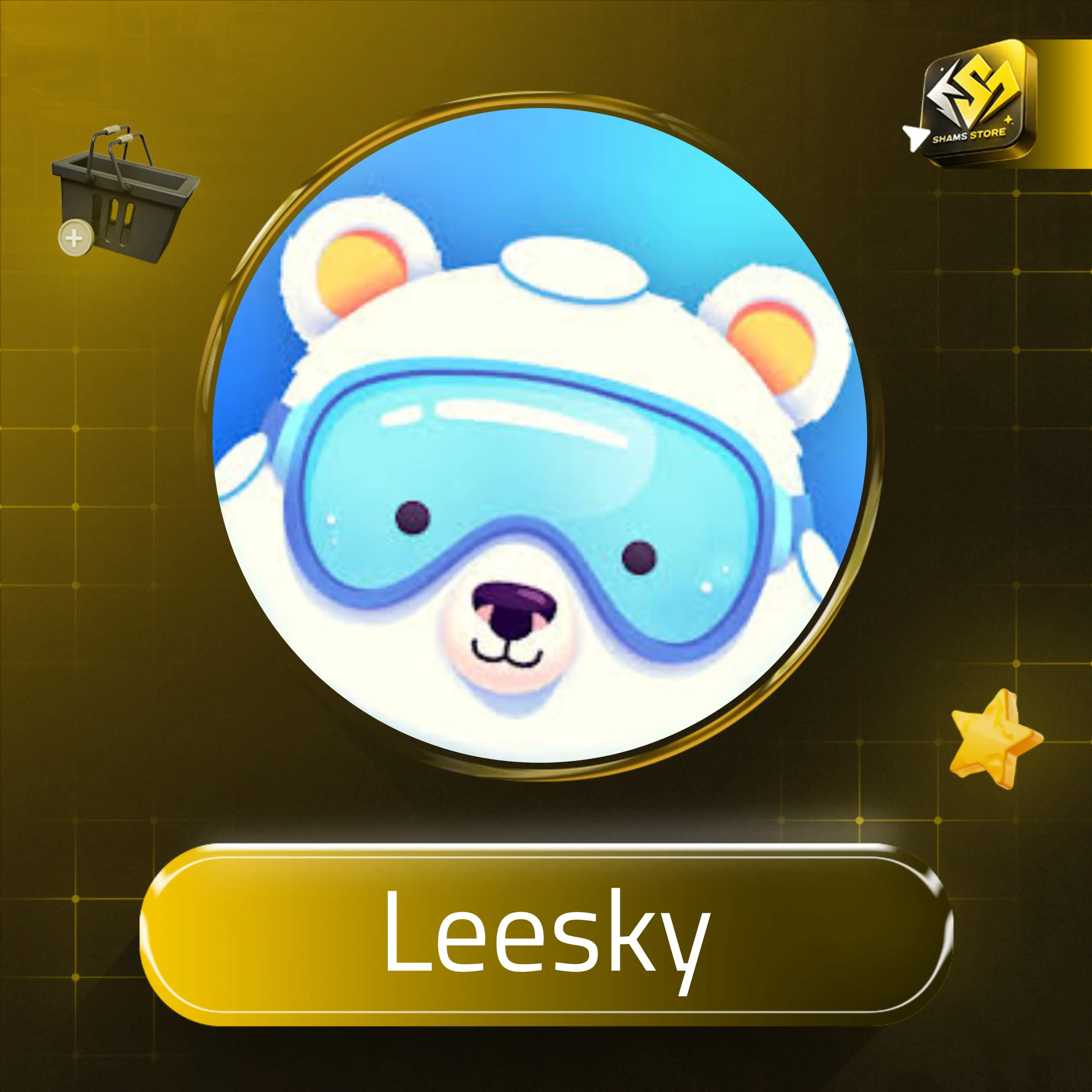 Leesky سيرفر 1